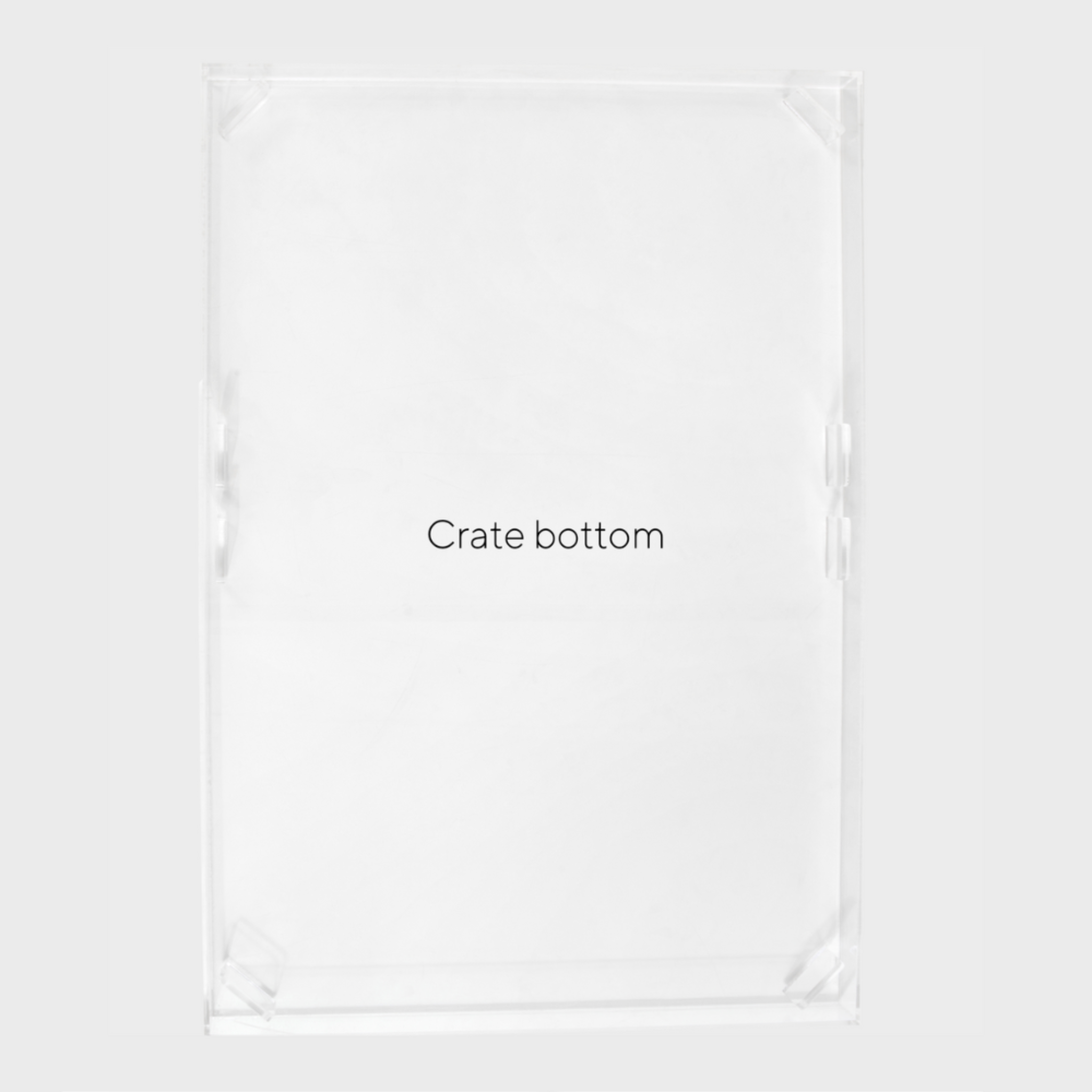 Clear Plastic Dog Crate with Removable Gate - Portable Pet Carrier for Small to Medium Dogs - Perfect for Travel, Training & Home Use