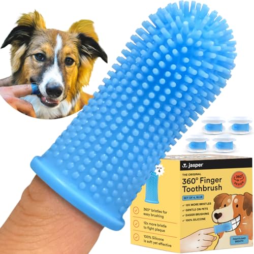 Blue (4-pack)