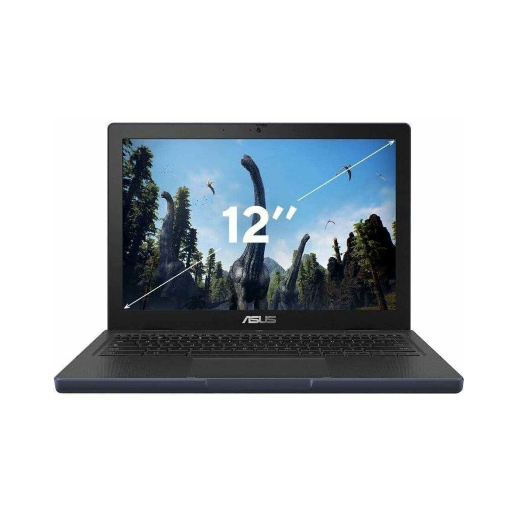 ASUS CZ12 12