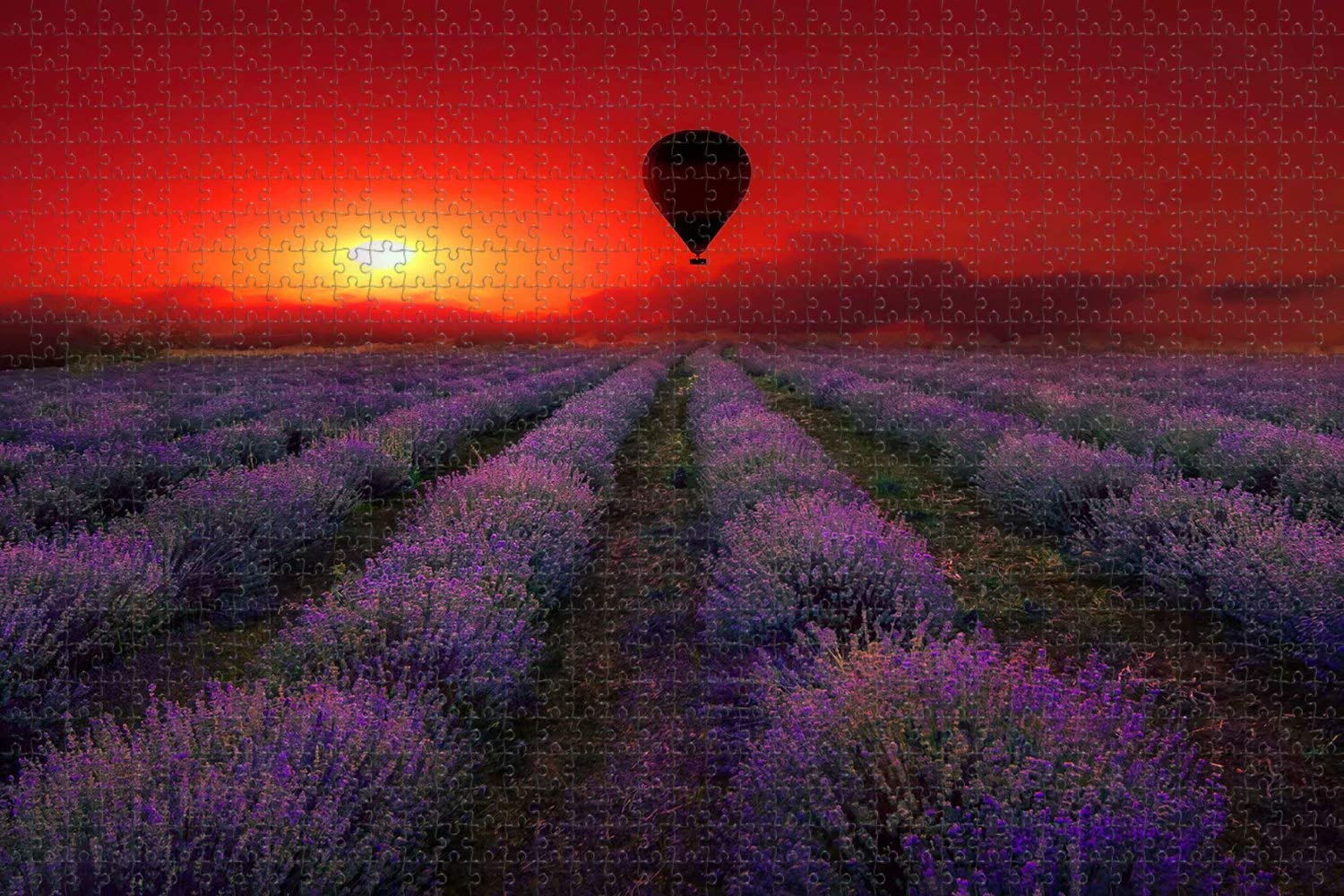 1000 Piece Jigsaw Puzzle for Adults - France Lavender Provence Scenic Landscape Art, Perfect for Relaxation & Home Decor | Travel Souvenir Gift for Puzzle Lovers