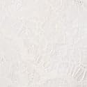 Coconut White