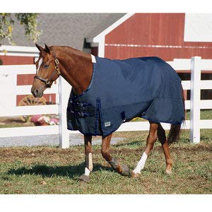 Rider’s International Supreme Heavyweight Turnout Blanket - Navy/Navy, 78
