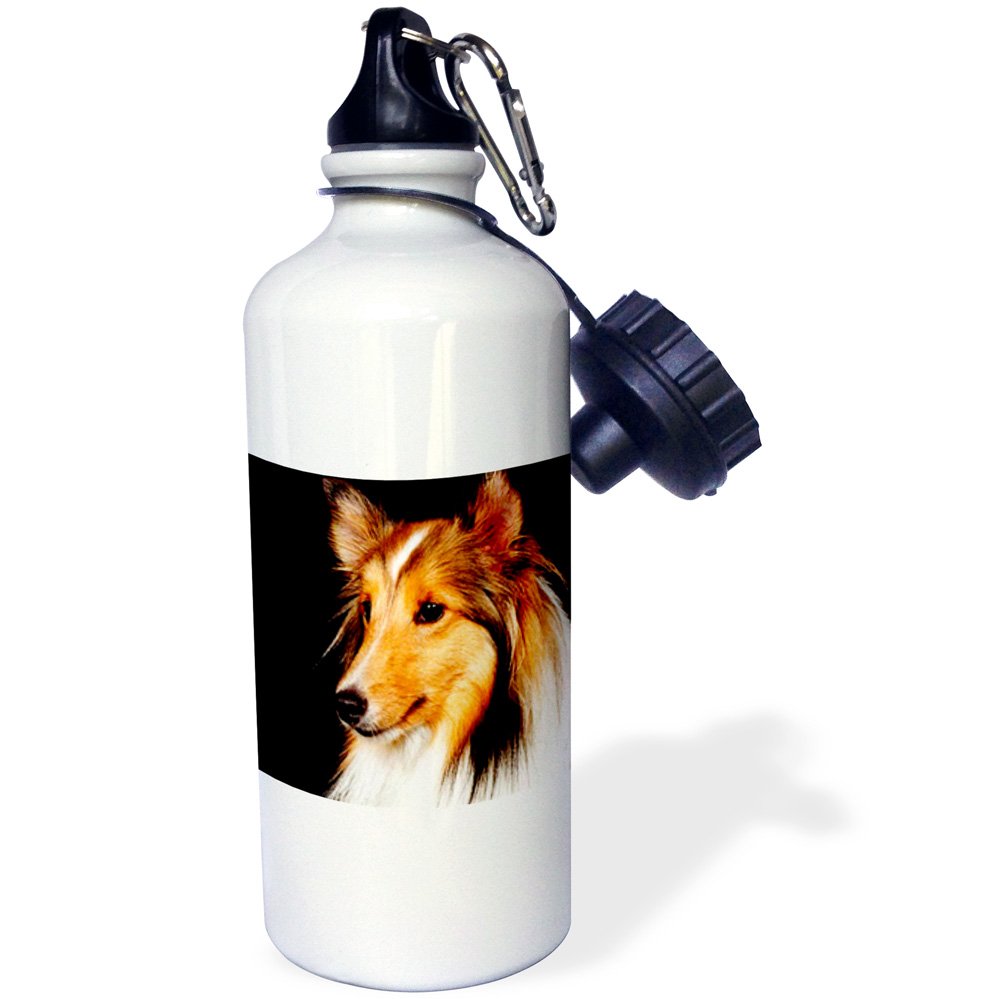 3D Rose Sheltie Shetland Sheepdog Sports Water Bottle - 21oz Insulated Stainless Steel White - Perfect for Dog Lovers, Hiking, Gym & Outdoor Activities