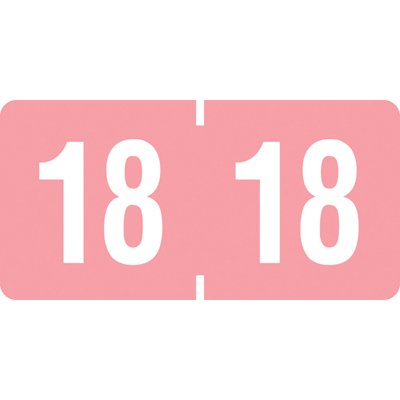 AMZfiling 2018 Year Label (Pink) - Ames Compatible Semi-Gloss Filing Labels, 500 Labels per Roll - Perfect for Office Filing, Document Organization and Record Keeping