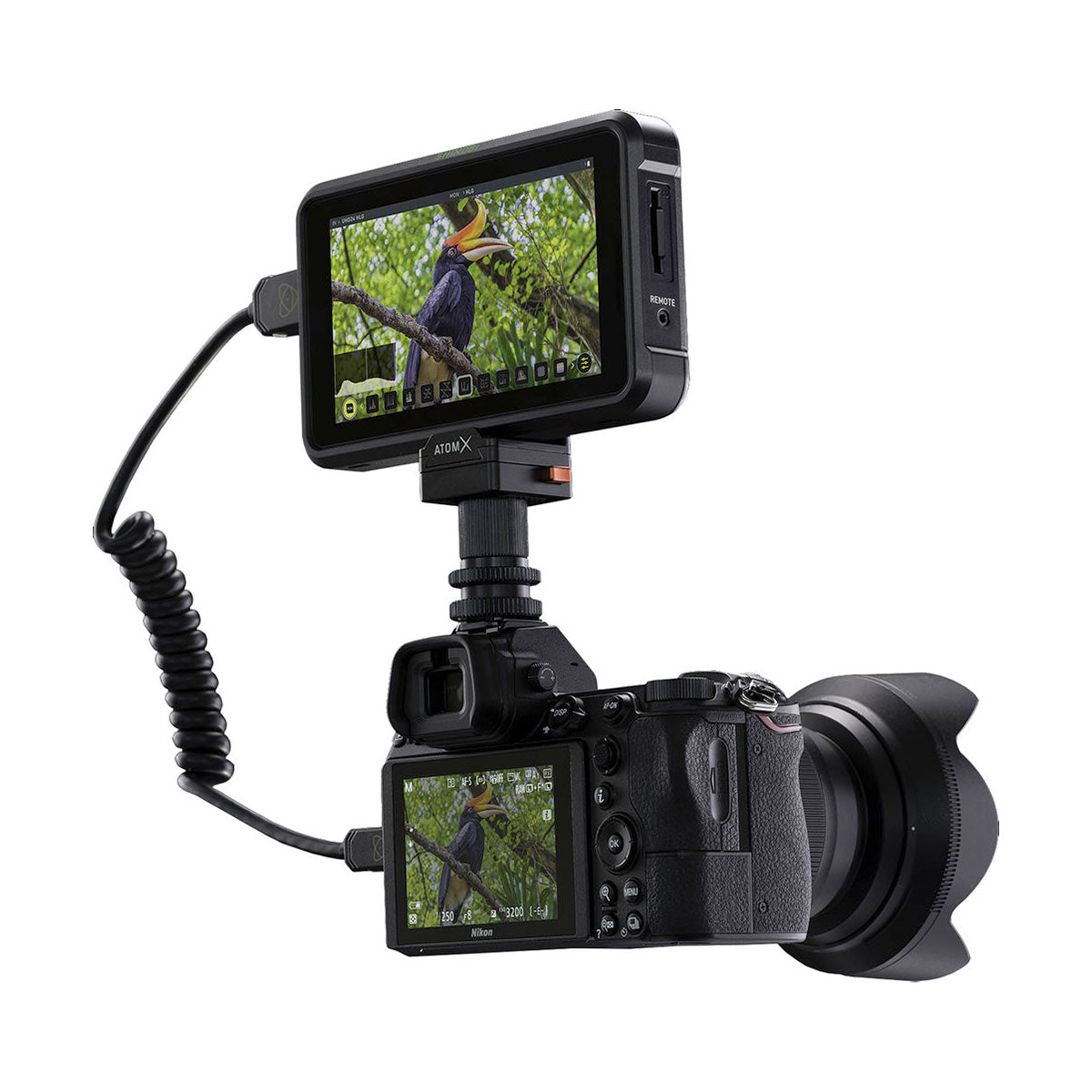 Atomos Shinobi 5.2