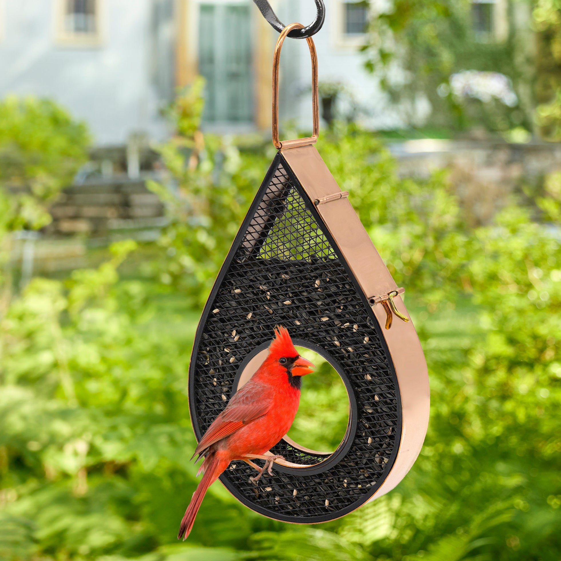 Copper Mesh Bird Feeder with Rain Drop Design - Fly-Thru Style for Outdoor Garden & Backyard Bird Watching
