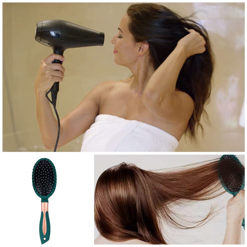 Anti Static Hair Brush Set for Women & Men - Detangling & Shine for Wet/Dry Hair at Home & Travel