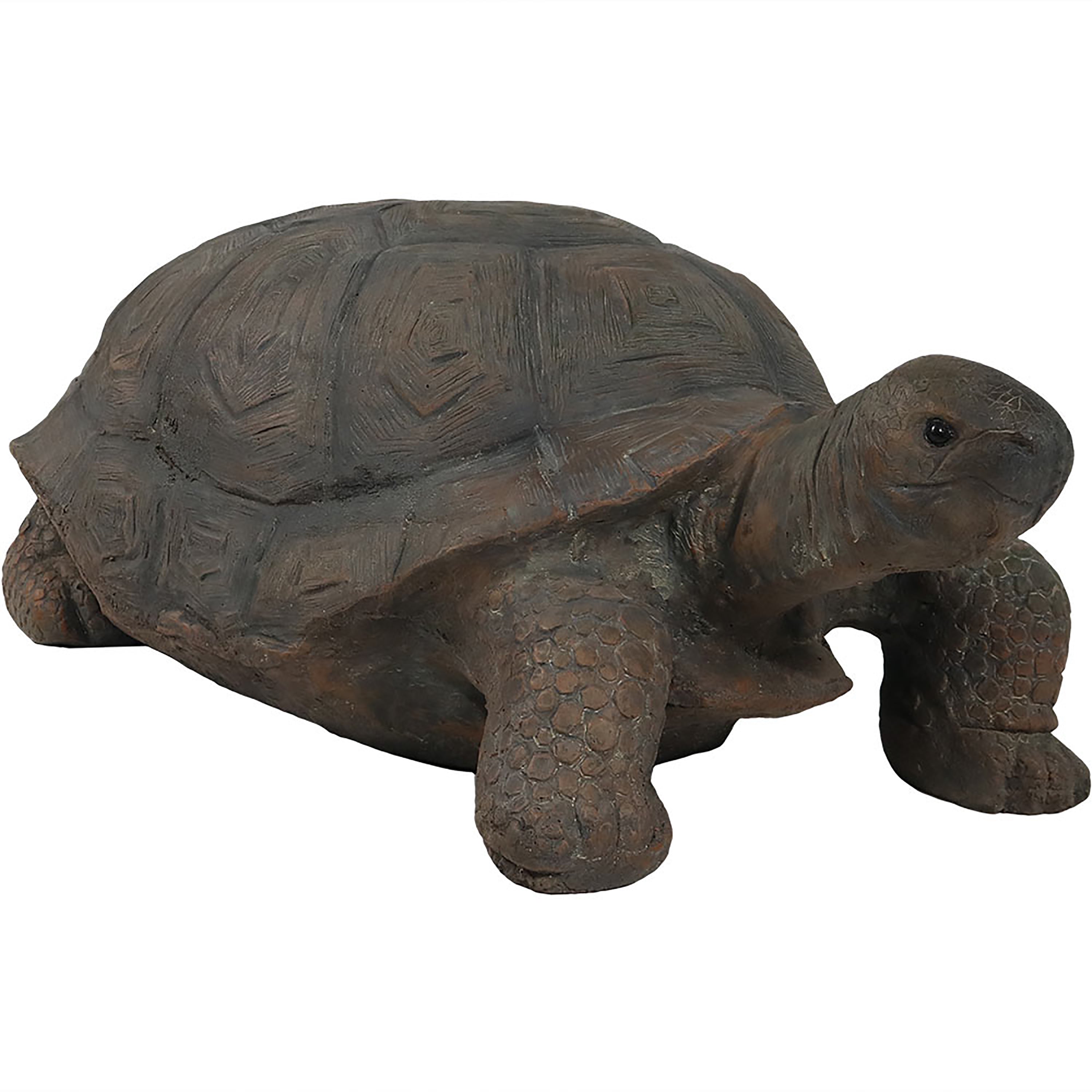 Sunnydaze Todd the Tortoise Garden Statue - Indoor/Outdoor Decorative Tortoise Sculpture for Yard, Patio, Lawn - Perfect for Home Garden Decor & Landscaping