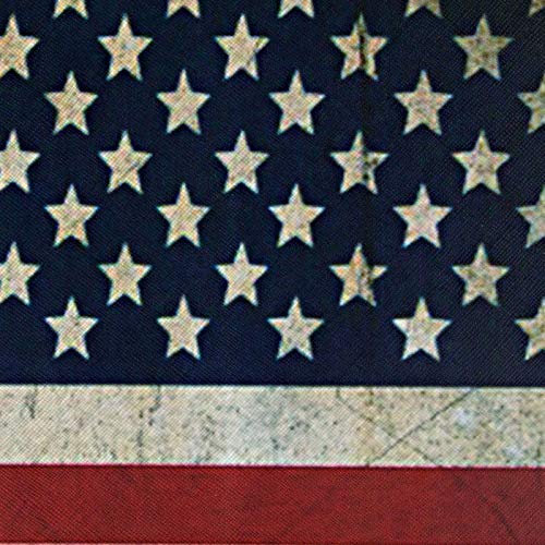 02 US Flag