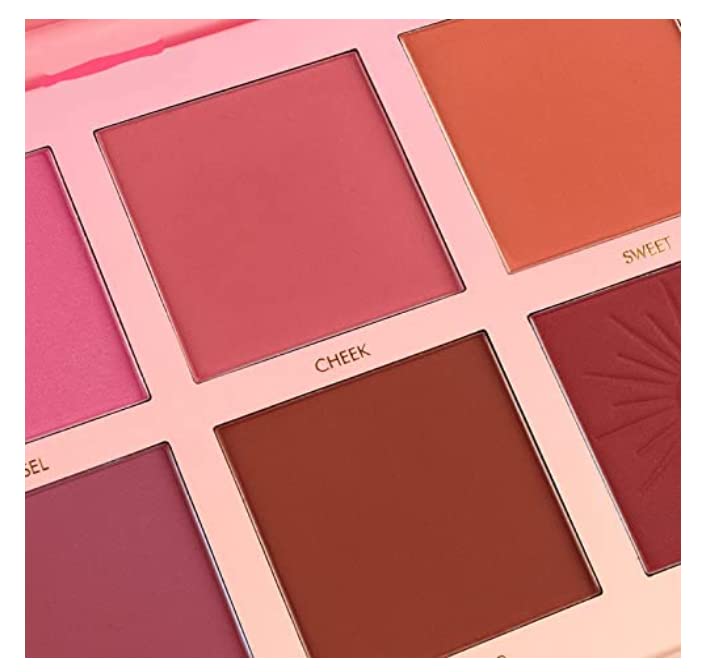 Miss Royale Professional 6-Color Touch Blush Palette - Creamy & Blendable Makeup Kit for Women & Teens - Perfect for Everyday Wear, Date Night & Special Occasions