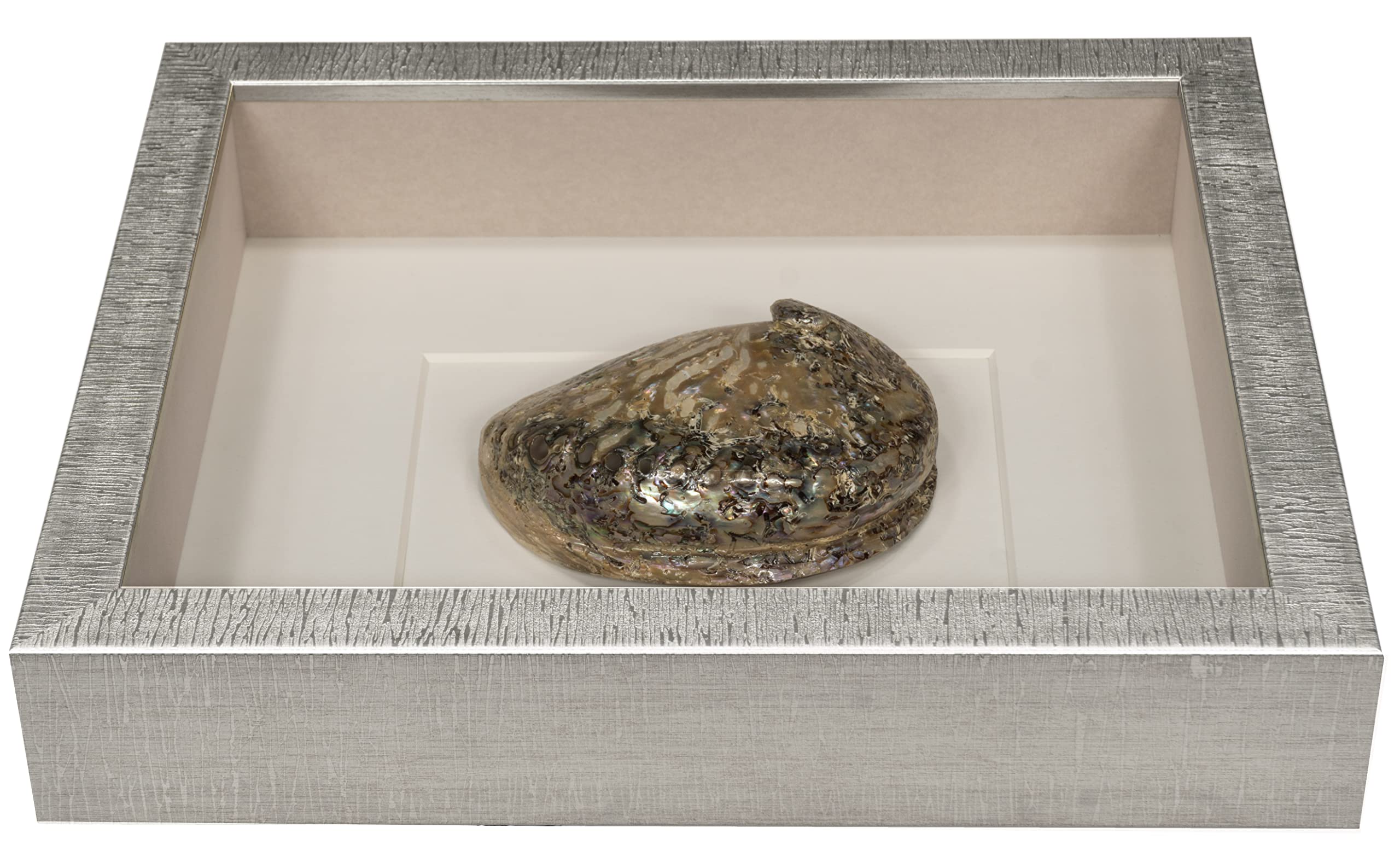 HUJI Abalone & Pearl Shell Shadow Box Wall Décor Set of 2 - Elegant Coastal Home Decor for Living Room, Bedroom & Beach House