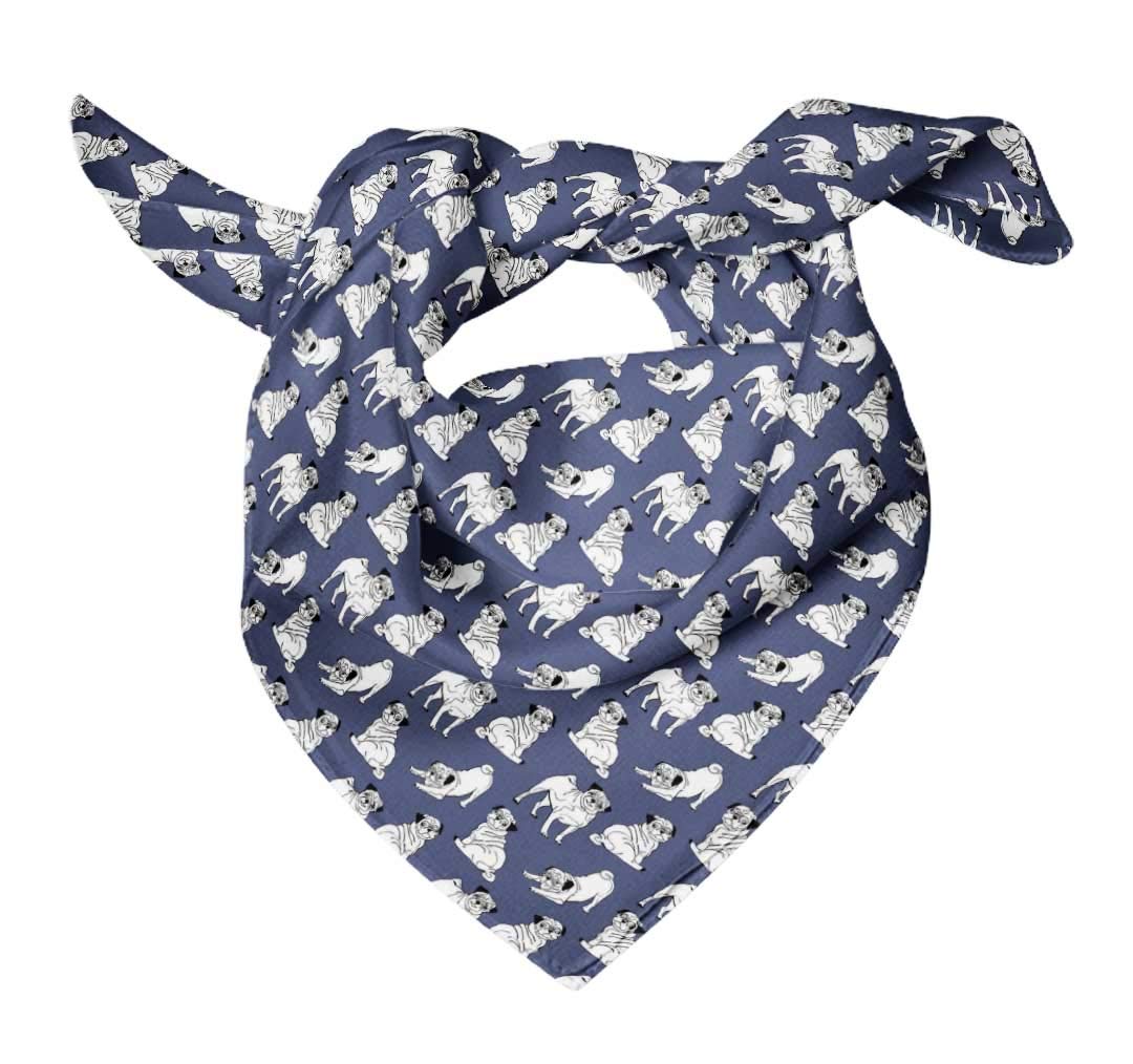 Bimba Pure Silk Printed Head Bandanas & Neck Scarves for Women - Soft Summer Fashion Accessories for Hair Ties, Beach Outfits, and Outdoor Activities