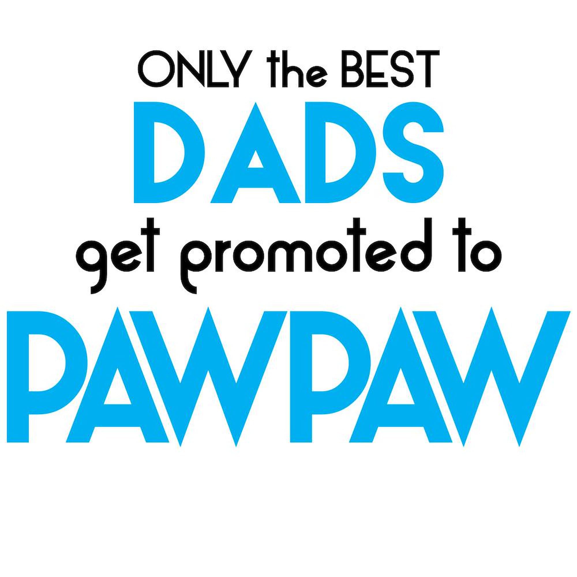 BEST DADS GET PROMOTED TO PAWPAW - 20oz Insulated Stainless Steel Travel Mug Coffee Tumbler - Keeps Drinks Hot/Cold for Hours - Perfect for Coffee, Tea & Gifts for Grandparents, Fathers Day & Retirement