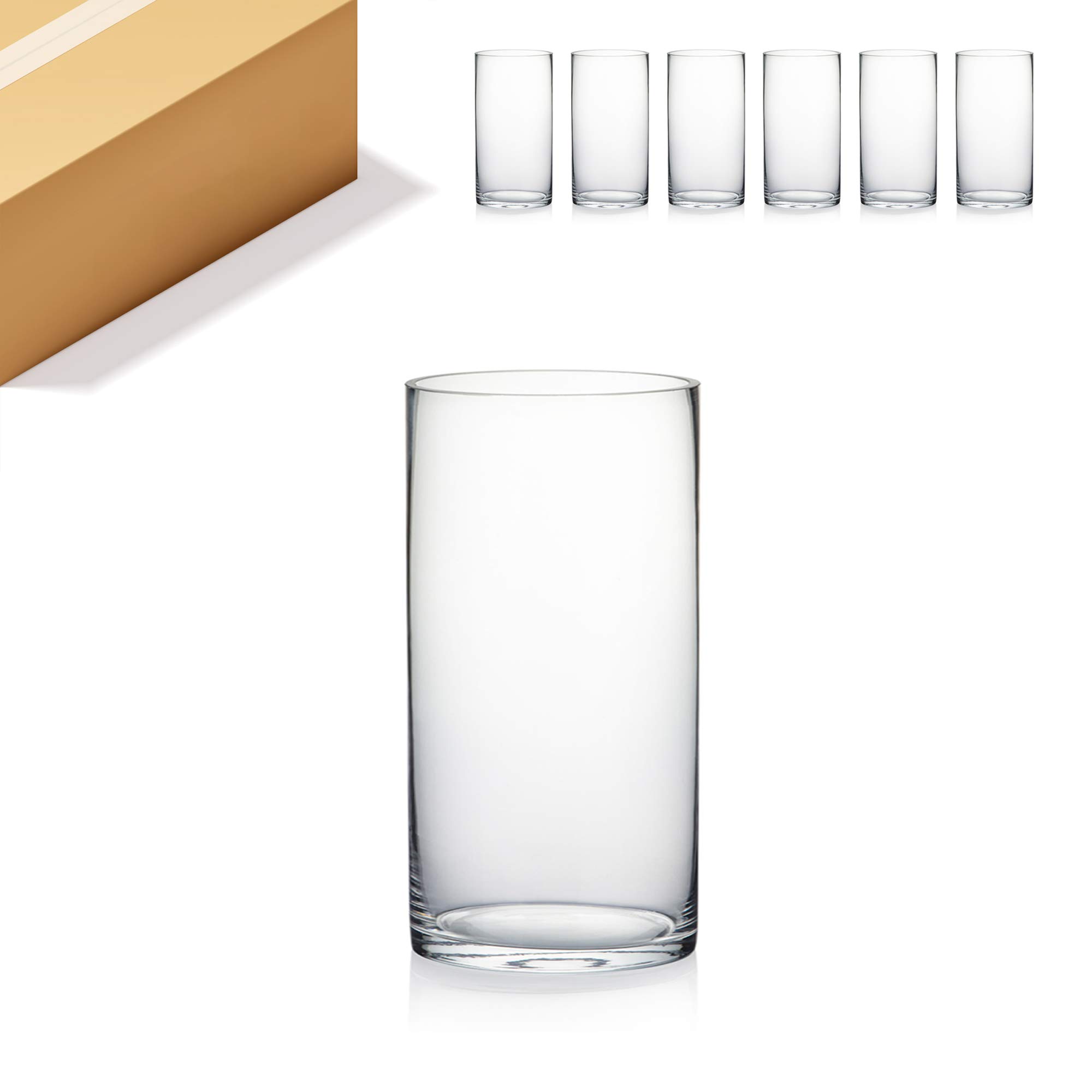WGV Clear Glass Cylinder Vase Bulk Set - 6