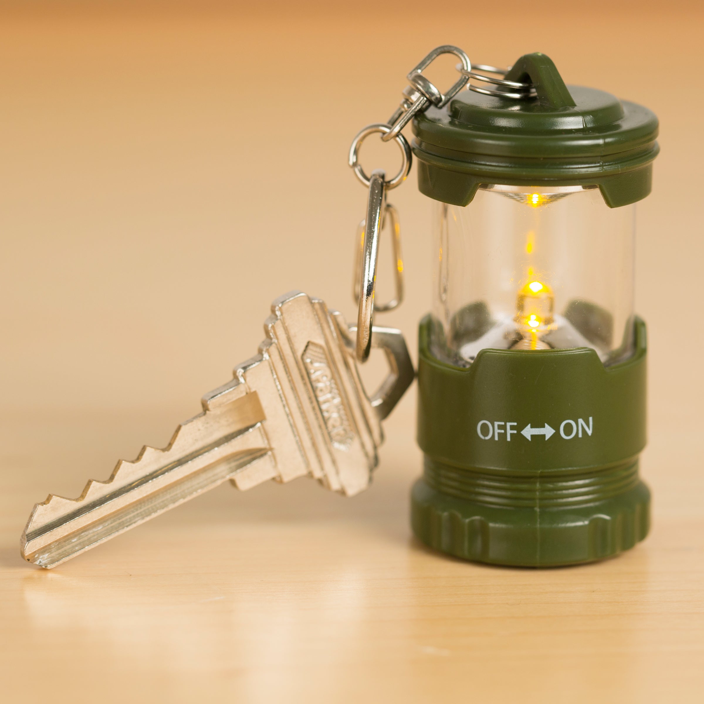 Mini LED Keychain Flashlight - Portable Emergency Light for Camping, Hiking, Power Outages & Everyday Carry (Black)