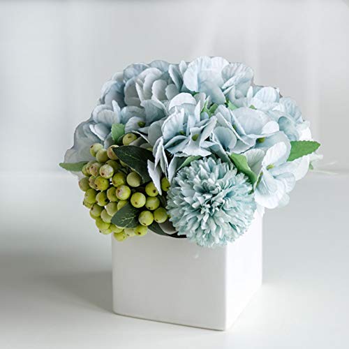 Blue Hydrangea