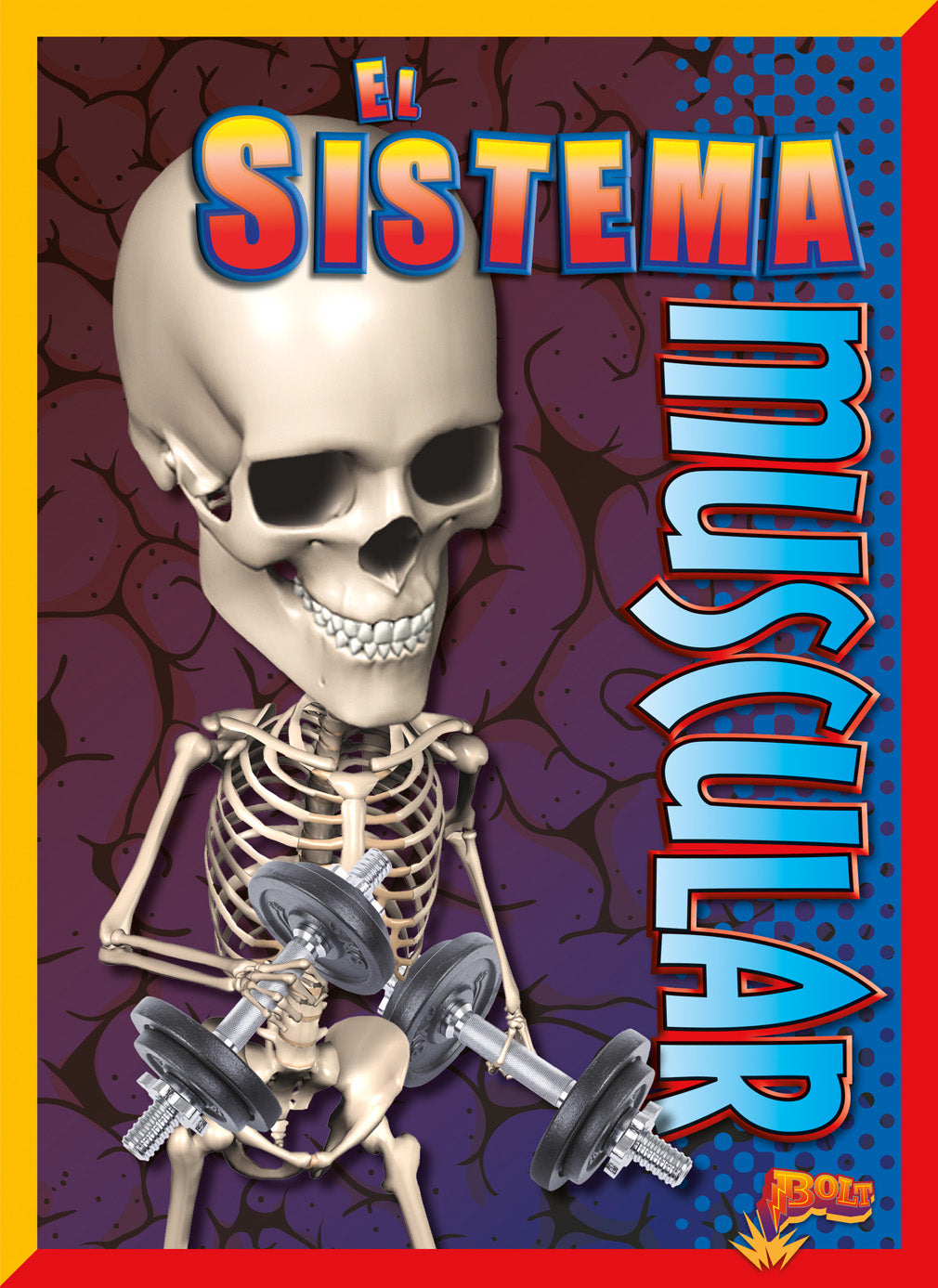 Muscular System Anatomy Guide - Human Body Muscles Structure & Functions | Perfect for Students, Fitness Trainers & Medical Professionals