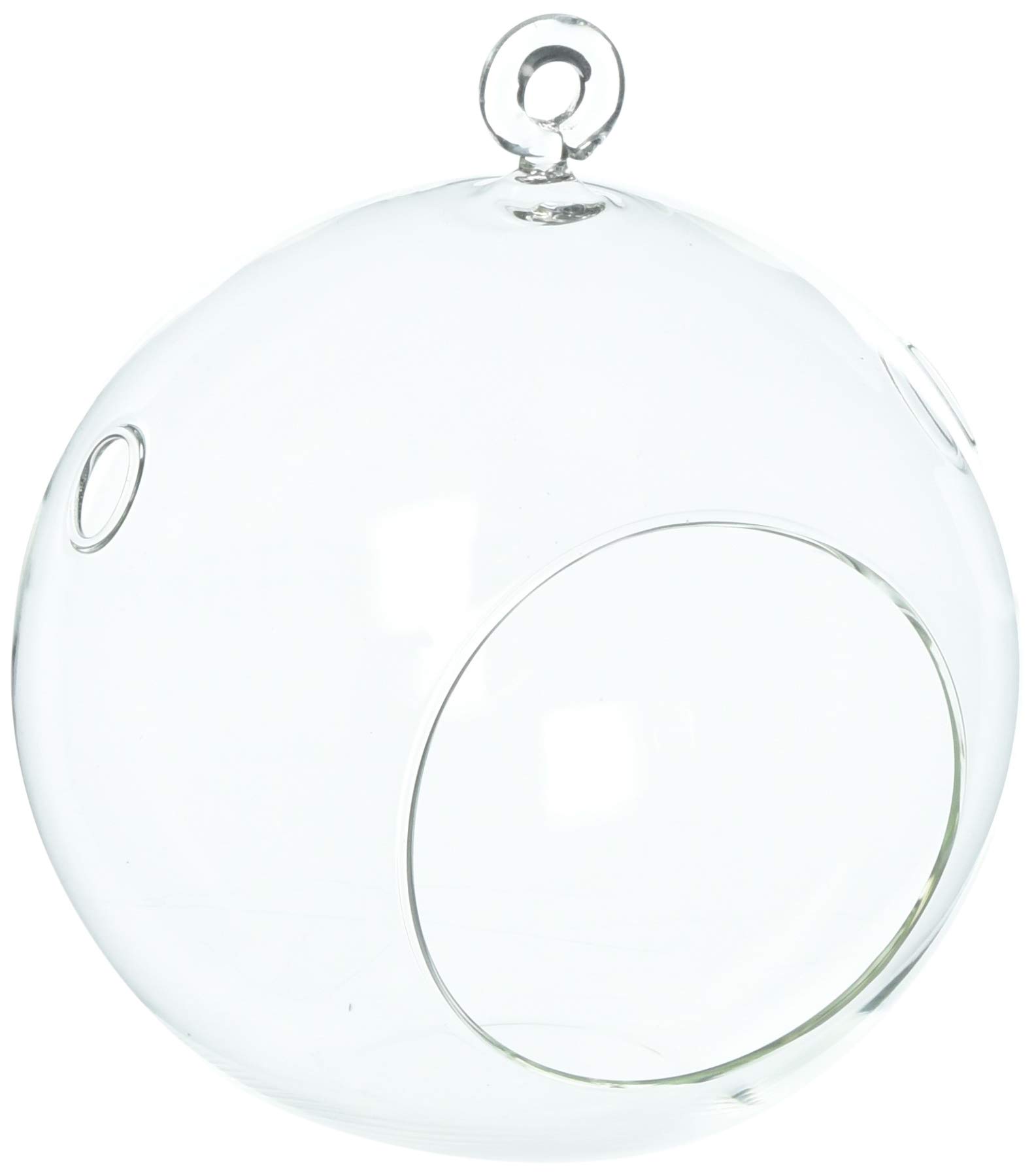 6 Inch Glass Plant Terrarium Orb - Mini Indoor Greenhouse for Succulents, Air Plants & Moss | Perfect for Home Decor, Office Desk & Gift Ideas