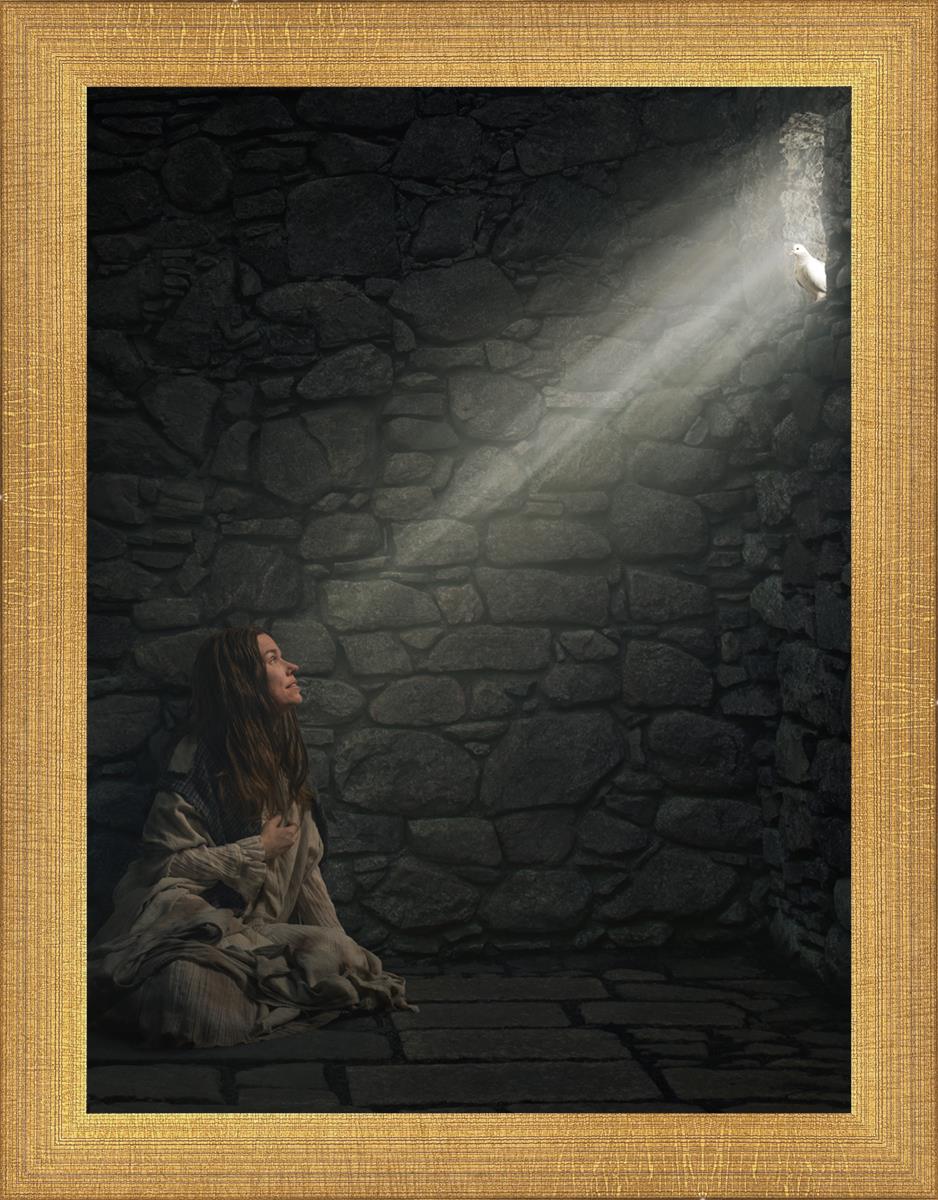 A Captive's Hope - Inspirational Book for Overcoming Adversity | Perfect for Self-Help, Motivation & Personal Growth