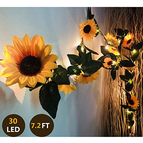 1 Pack With 30 Led
