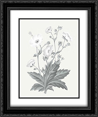 Wild Apple Portfolio 15x17 Inch Black Ornate Framed Double Matted Museum Quality Art Print - Neutral Botanical VI Wall Decor for Living Room, Bedroom & Office