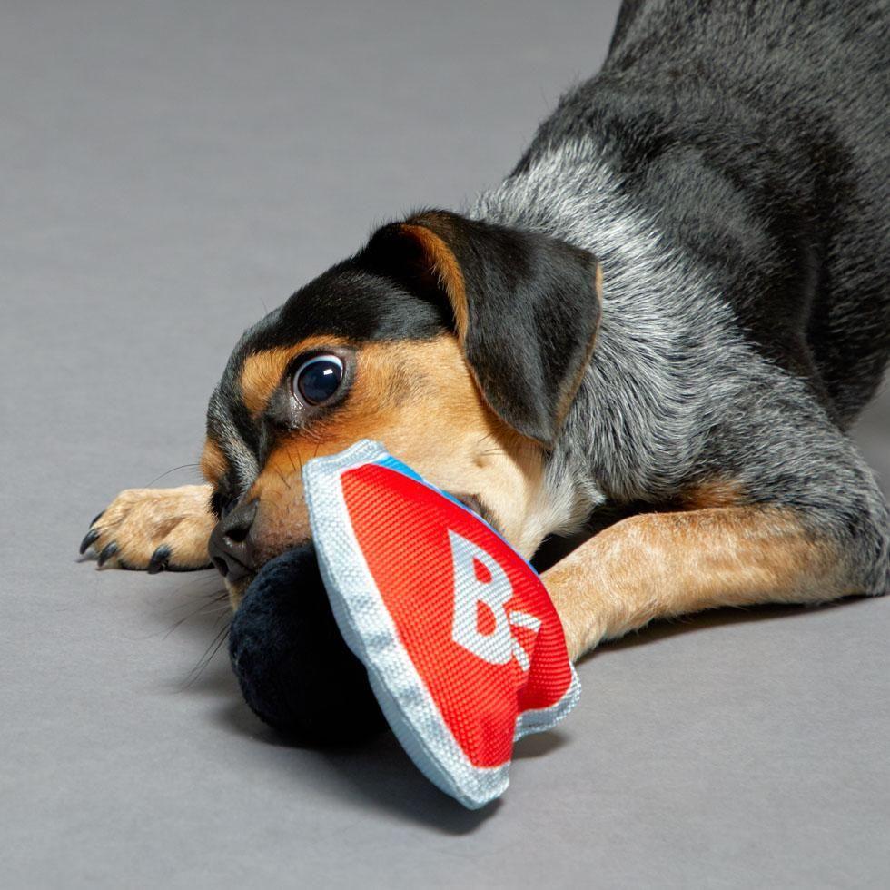 BarkShop Wonderdog Wearable Dog Plush Toy Set - Soft & Comfortable Pet Costume for Small & Medium Dogs | Perfect for Halloween, Dress-Up Parties & Photo Shoots