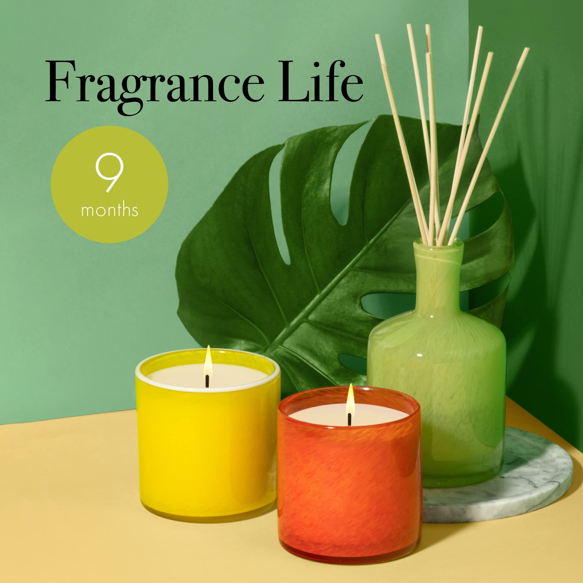 LAFCO New York Signature Reed Diffuser - Rosemary Eucalyptus Scent - 15 oz Long-Lasting Fragrance (Up to 9 Months) - Handcrafted Glass Vessel with Natural Wood Reeds - Made in USA - Perfect for Home, Office, Spa & Gift Giving