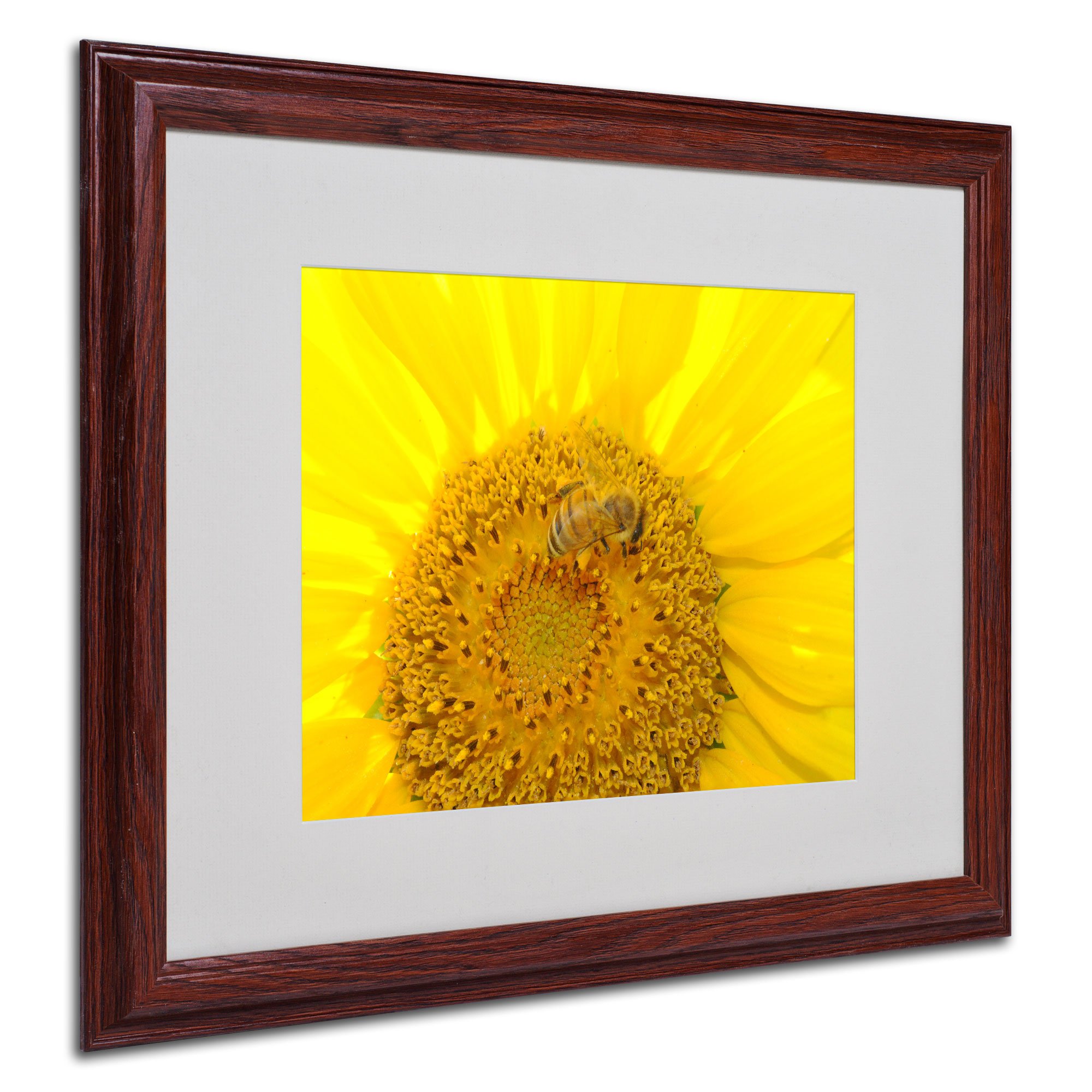 Monica Fleet Honey-Maker - 16x20 Inch Wooden Frame Beekeeping Art - Perfect for Farmhouse Decor & Beekeeper Gifts