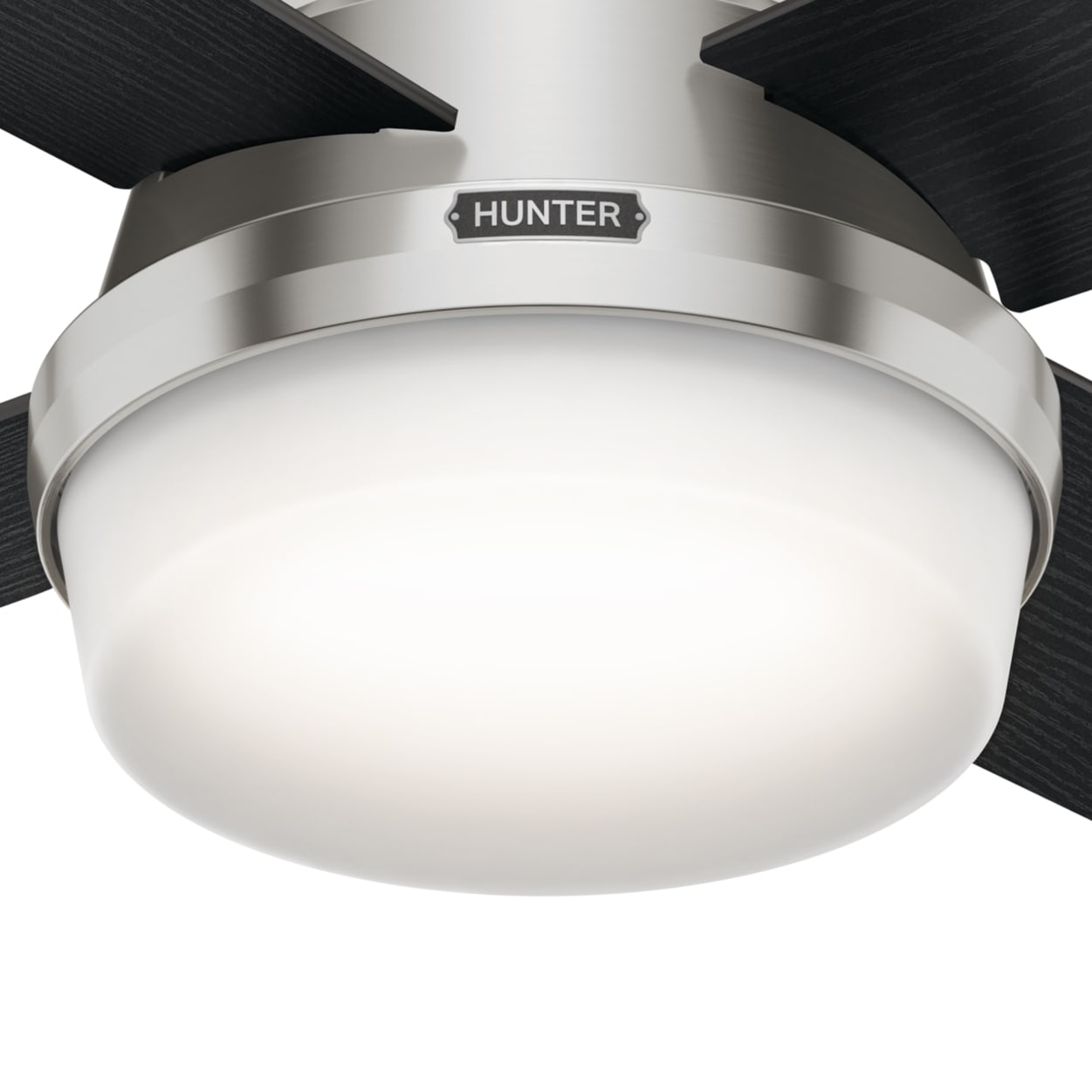 Hunter 44 Inch Dempsey Low Profile Ceiling Fan with Light - Brushed Nickel Finish - Perfect for Bedrooms, Living Rooms & Indoor Spaces