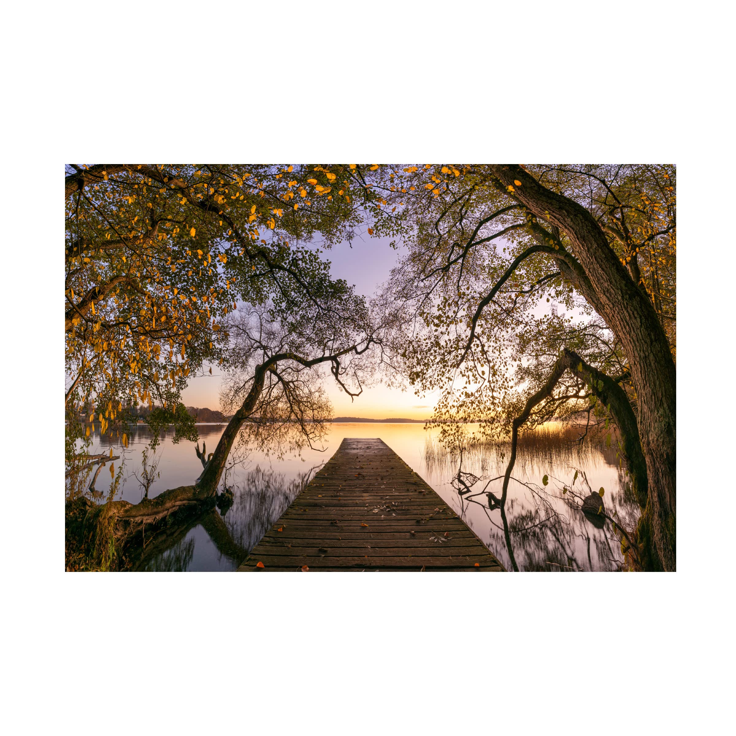 Trademark Fine Art 'Autumn 2' Canvas Wall Art by Keller - Fall Landscape Painting for Living Room, Bedroom & Office Decor