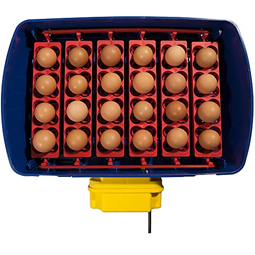 Premier 1 Supplies Borotto Real 24 Automatic Egg Incubator with Humidity Pump - Ideal for Poultry Farming, Hatching Chicken Ducks & Quail Eggs at Home or Farm