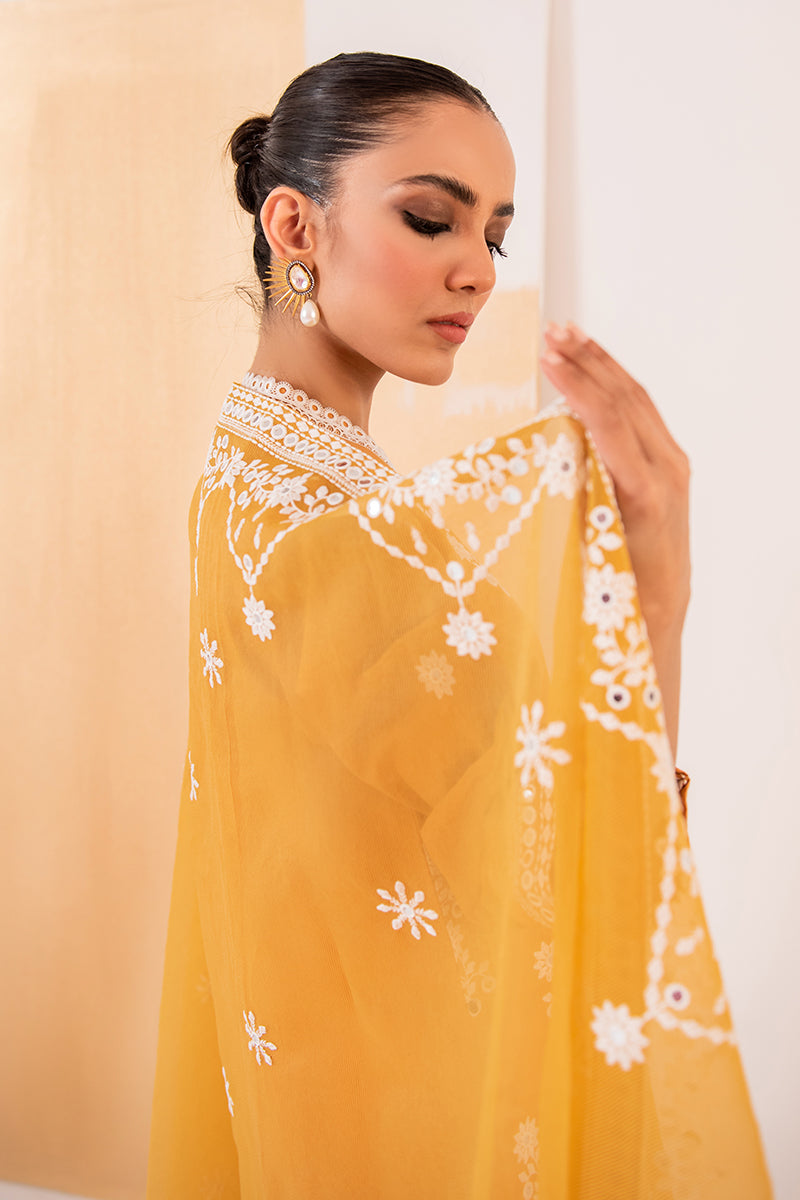 HAZEL WOOD 2-Piece Set (Shirt & Dupatta) - Stylish Ethnic Outfit for Women | Perfect for Festivals, Weddings & Special Occasions