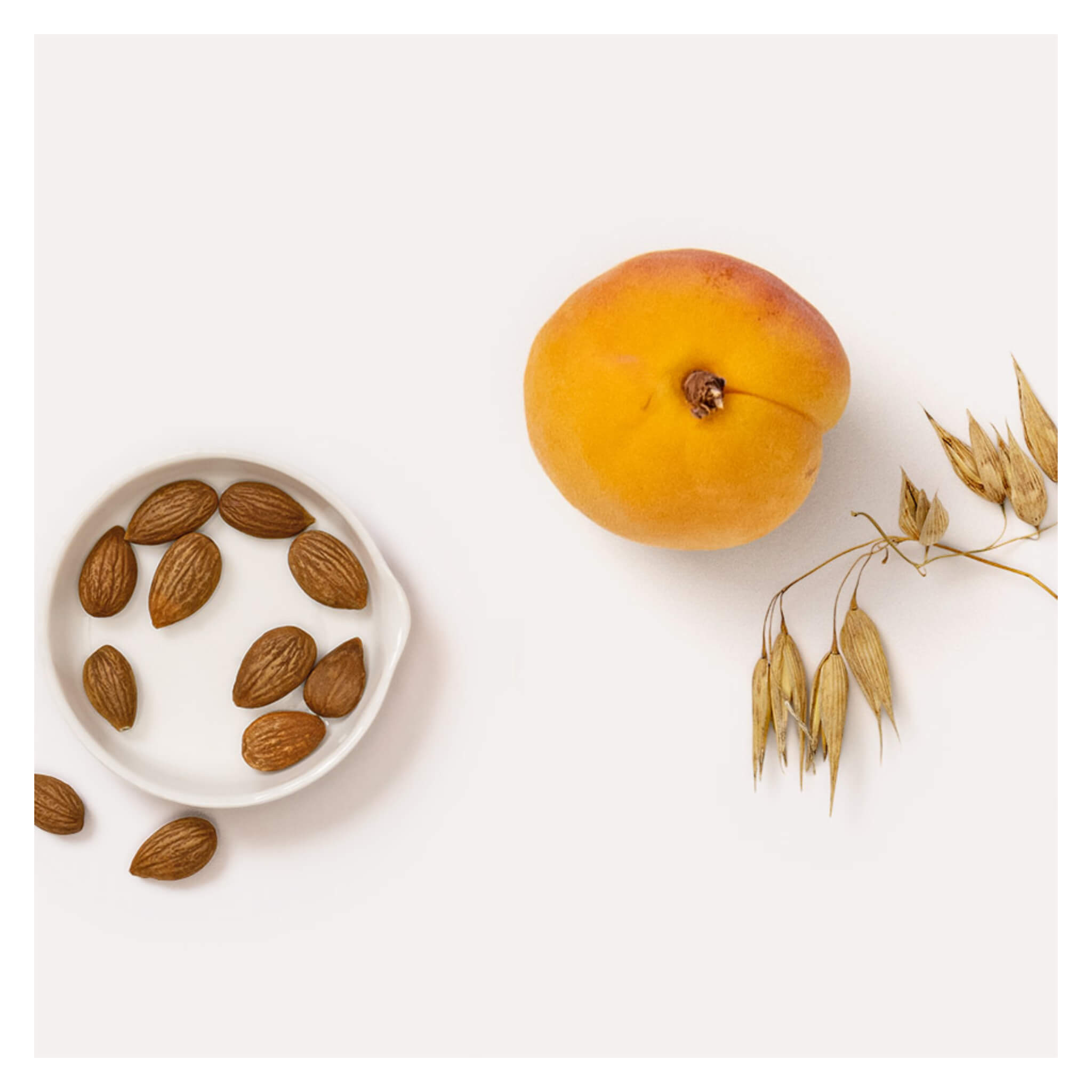 Best Organic Apricot Day Cream for Dry Skin - Hydrating & Anti-Aging Face Moisturizer - Perfect for Daily Skincare Routine & Makeup Prep