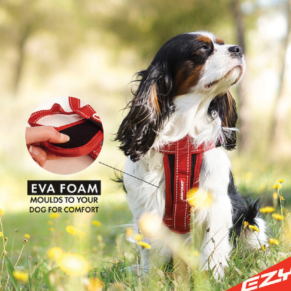 Best Dog Chest Harness for Large Dogs - Adjustable & Reflective Pet Vest for Walking, Running & Hiking - Durable No-Pull Dog Harness for Training & Outdoor Adventures