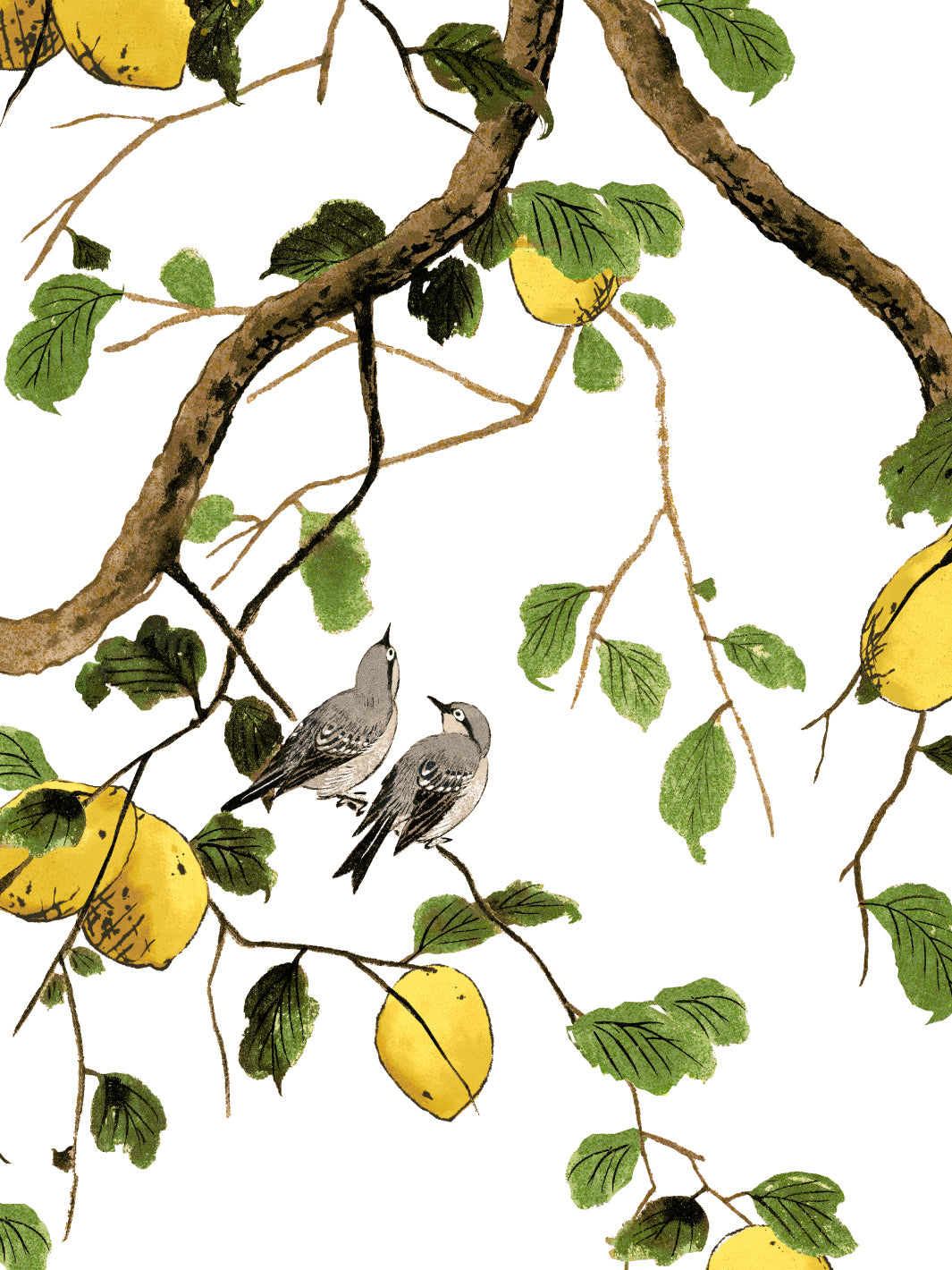 Lemon Birds Wallpaper by Nathan Turner - Premium White Peel & Stick Wallpaper for Bedroom, Nursery, and Home Decor