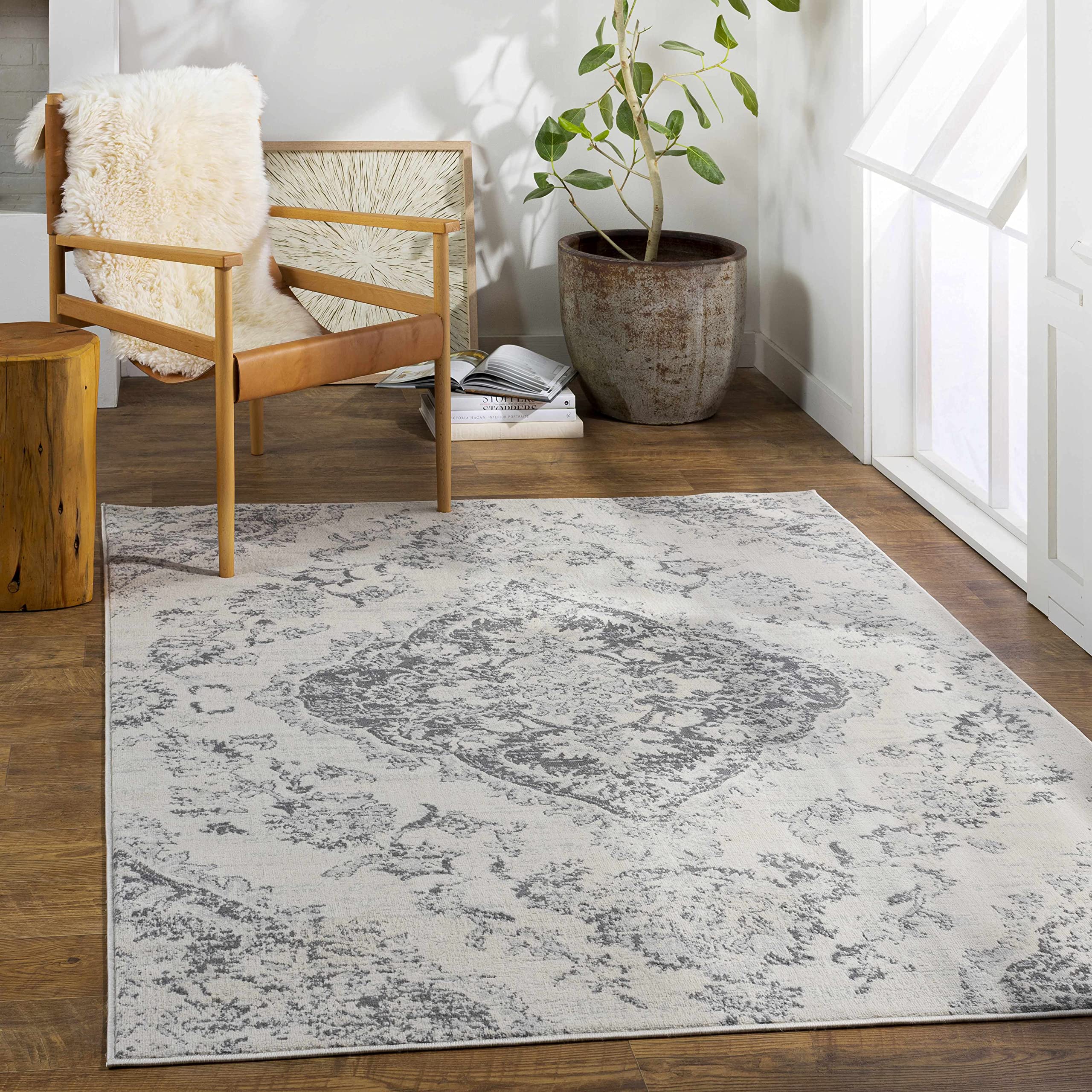 Hauteloom Kotara Traditional Gray and Beige Area Rug 9' x 12'3