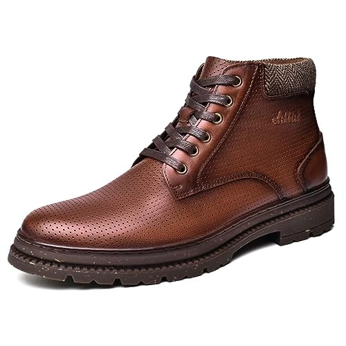 Brown-365