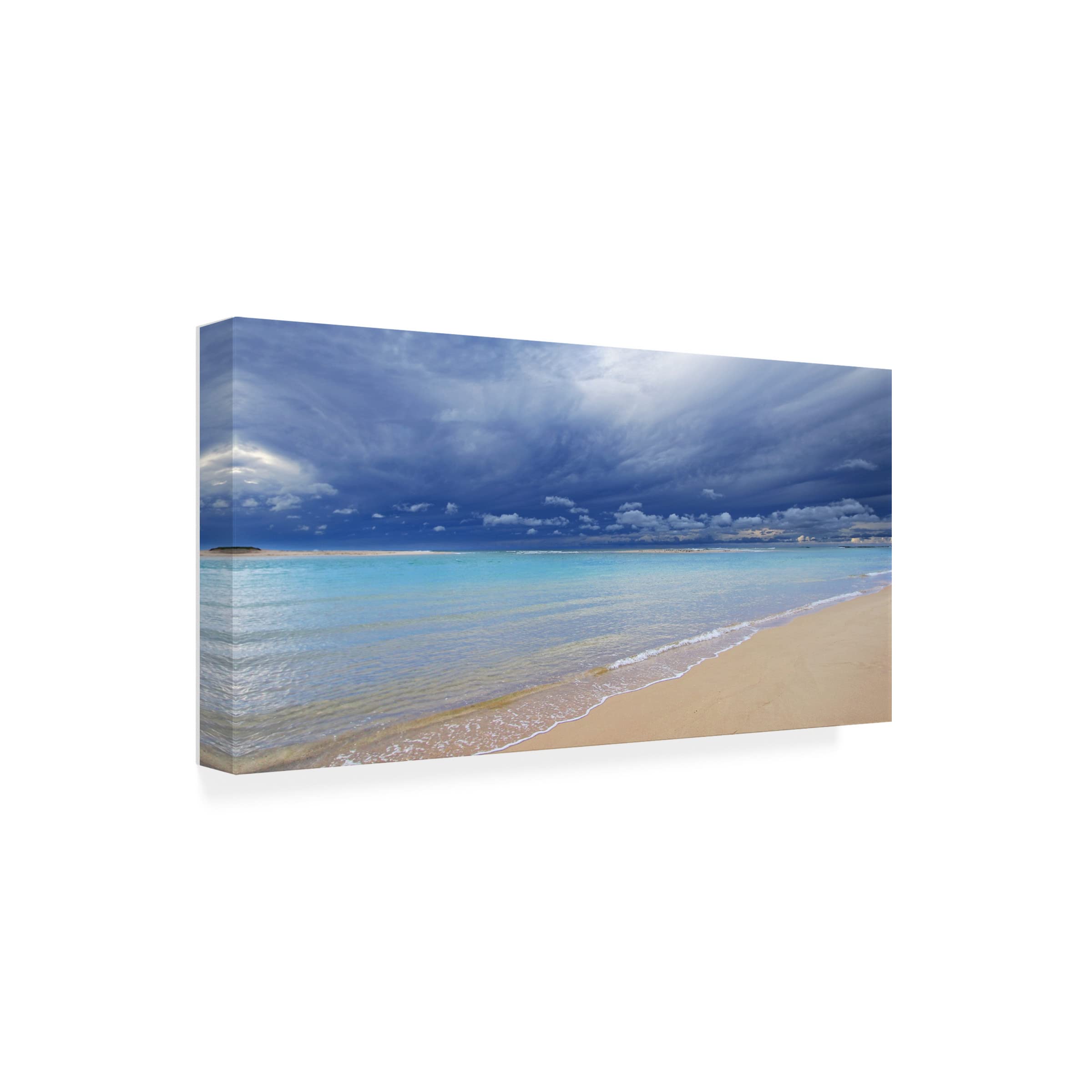 Trademark Fine Art 'Born to Be on a Beach 4' Canvas Wall Art Print by Beata Czyzowska Young - Tropical Beach Decor for Living Room, Bedroom & Office