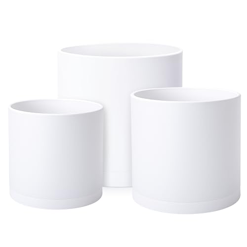 Matte White