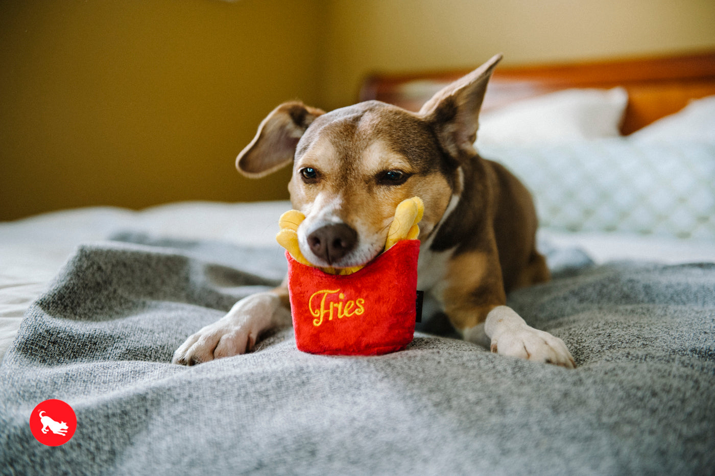 American Classic® Dog Chew Toy - Las Papas Fritas Plush French Fries for Dogs | Pet P.L.A.Y. | Perfect for Playtime, Training & Cuddling