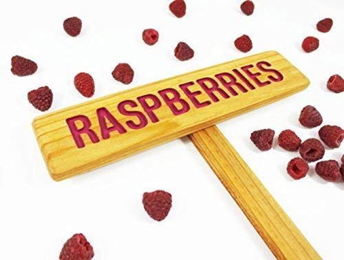 Handcrafted Cedar Wood Raspberry Garden Sign - Painted & Oil Sealed Plant Marker for Berry Bushes | Rustic Outdoor Decor for Gardens, Farms & Patios