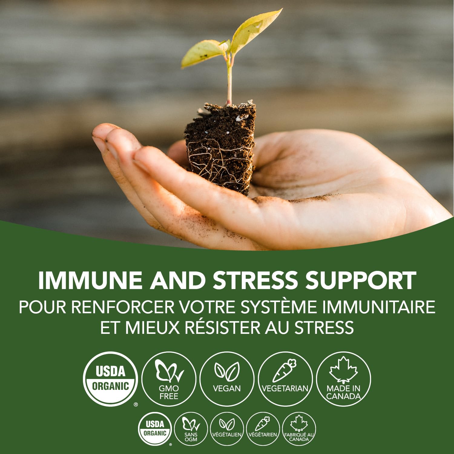 Organic Schisandra Herbal Tincture Liquid - Adaptogen for Mental & Physical Fatigue, Immune System Support | Non-GMO, Lactose-Free, 50ml | Stress Relief, Energy Boost & Wellness Supplement for Daily Use