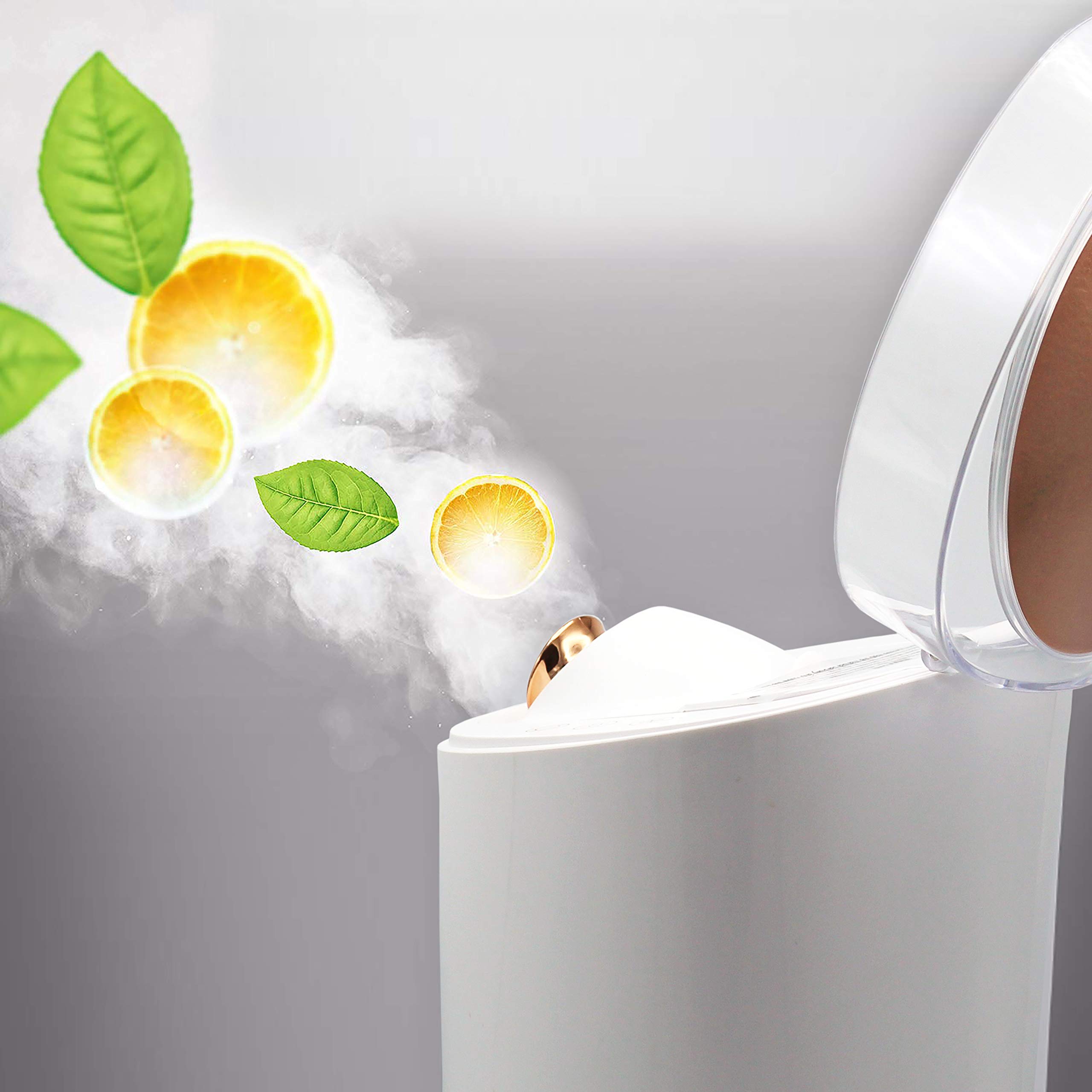 Professional 4-in-1 Nano Ionic Aromatherapy Facial Steamer - Hot & Cold Steam for Spa, Humidifier, Pore Cleansing & Blackhead Removal | Perfect for Home Spa, Salon Treatments & Skincare Routines