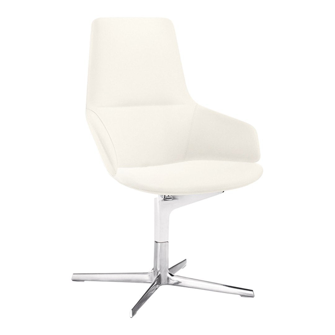 Ergonomic Aston Office Chair with Adjustable Height & Lumbar Support - Comfortable Desk Chair for Home & Office Workspaces - Perfect for Long Hours of Sitting, Gaming, and Remote Work