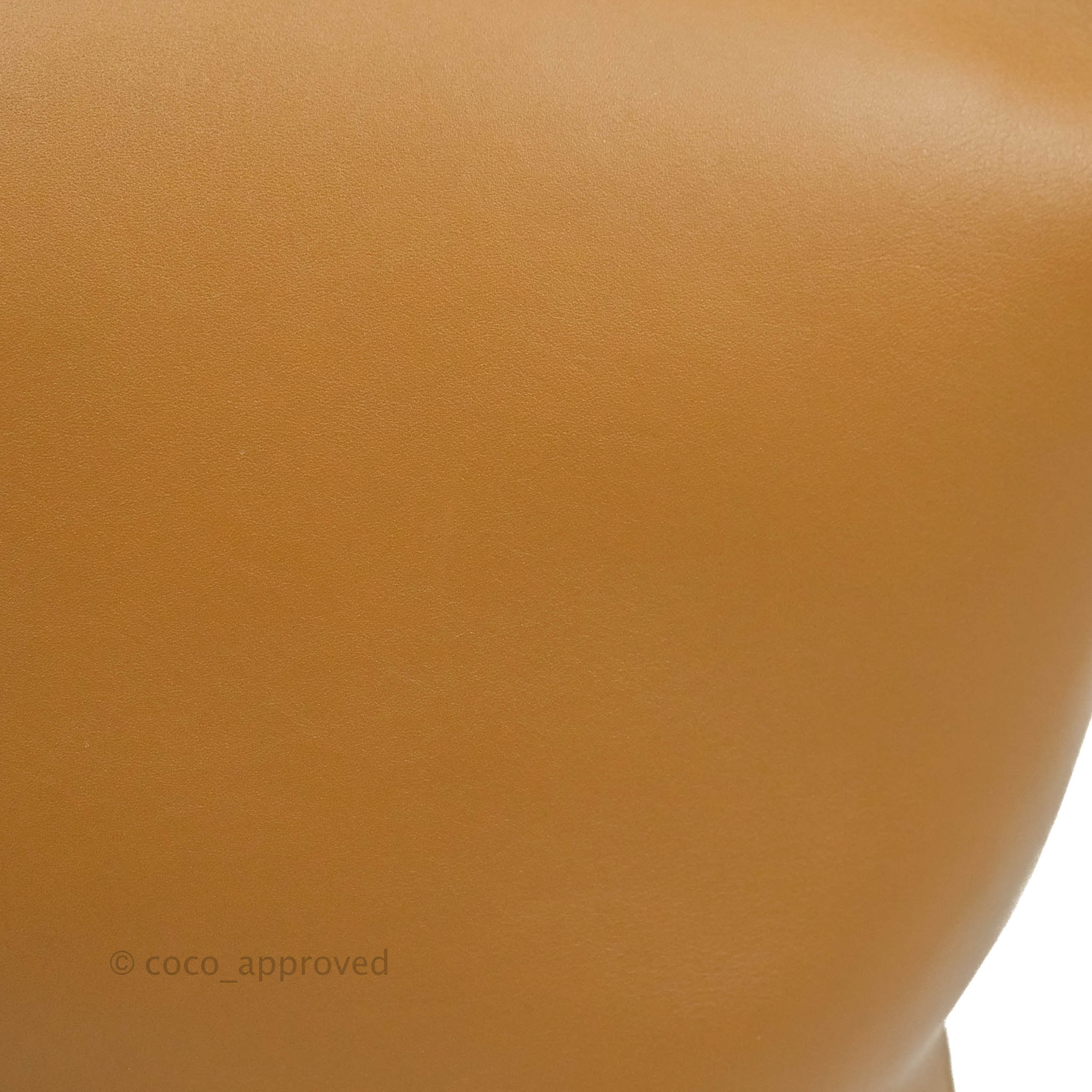 Celine Clasp Bucket Bag in Brown Leather - Luxury Shoulder Bag for Women | Perfect for Work, Travel & Everyday Use
