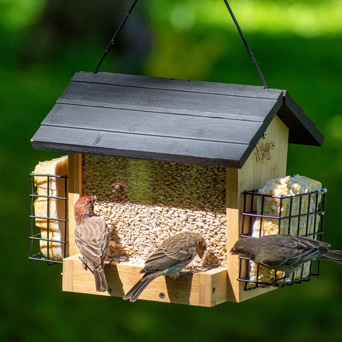 Premium Bamboo 3QT Hopper Bird Feeder with Suet Cage - Eco-Friendly Outdoor Bird Feeding Station for Backyard, Garden & Wildlife Observation