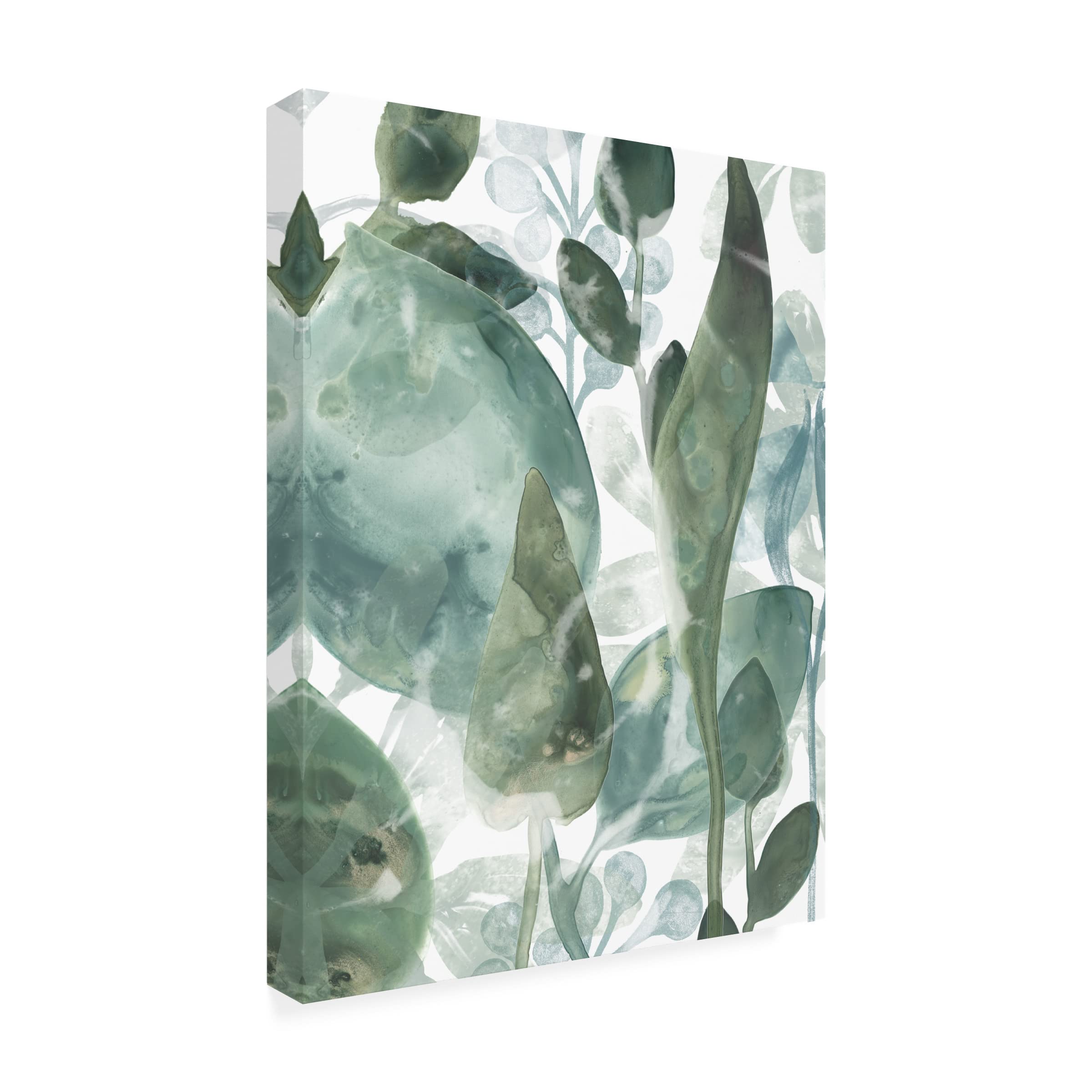 Trademark Fine Art 'Aquatic Leaves IV' Canvas Wall Art by June Erica Vess - Modern Botanical Painting for Living Room, Bedroom & Office Decor