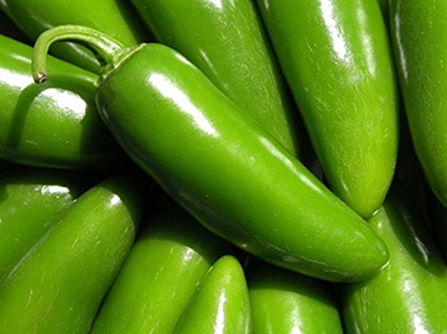 Giant Jalapeno Pepper Seeds - 25 Count, Large Mild Peppers for Stuffing, Cooking & Canning - Perfect for Home Garden, Mexican Cuisine & Pickling