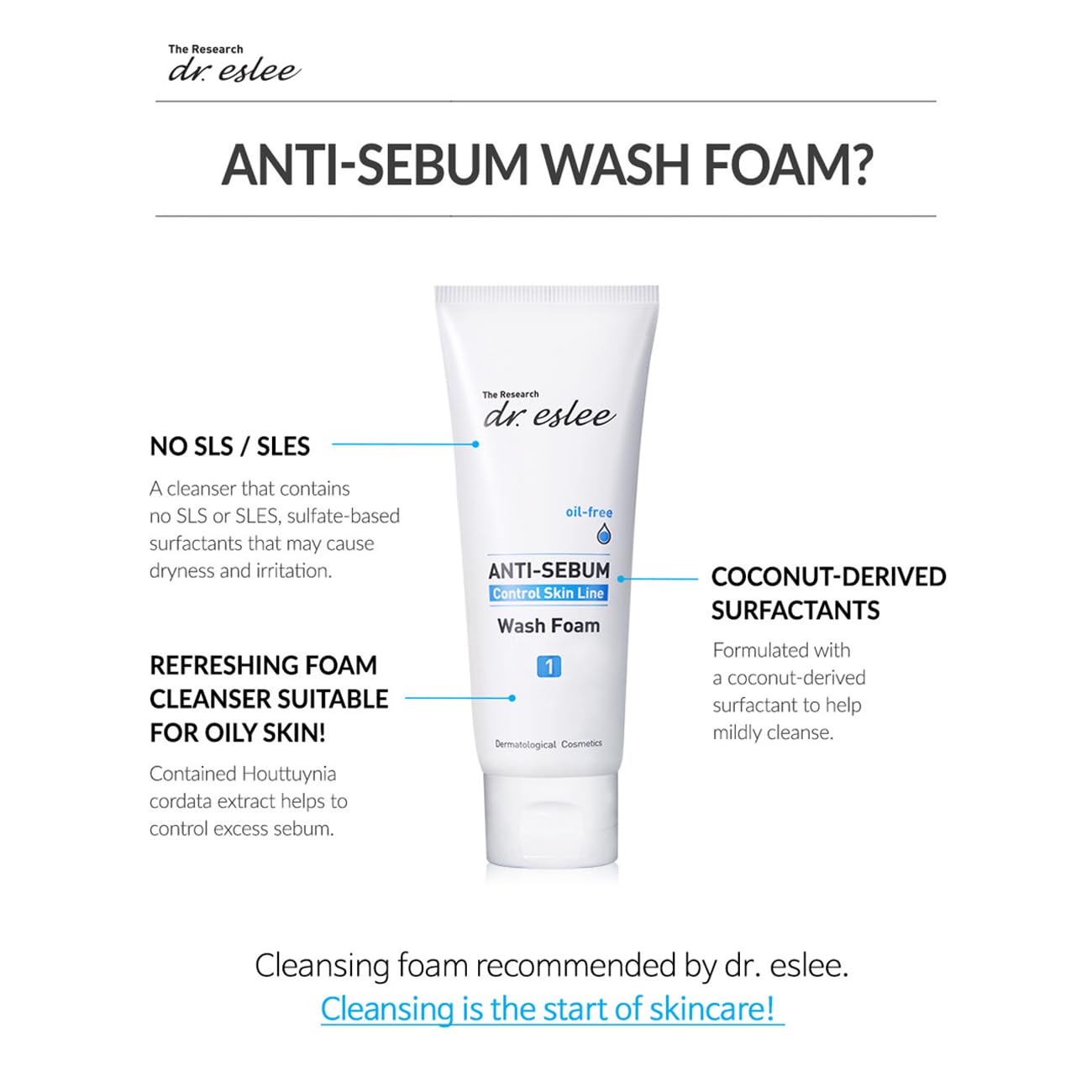 Anti-Sebum Foaming Facial Cleanser 100ml for Oily Skin - Controls Excess Oil, Soothes Irritation, Leaves Clean Matte Finish | SLS/SLES-Free Korean Skincare | Perfect for Morning & Night Routine, Travel-Friendly Size