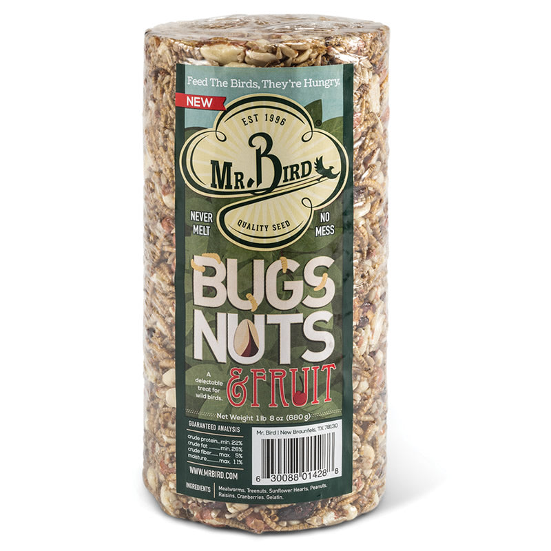 Premium Small Bugs, Nuts & Fruit Cylinder - Perfect for Science Classrooms, Nature Exploration & Kids' Educational Activities